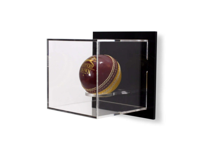 Wall Mounted Cricket Ball Case Tielo